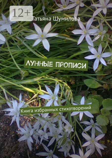Лунные прописи. Книга избранных стихотворений
