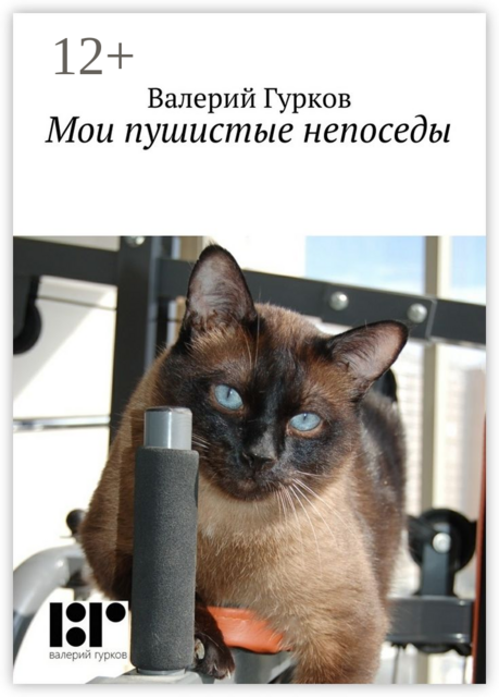 Мои пушистые непоседы