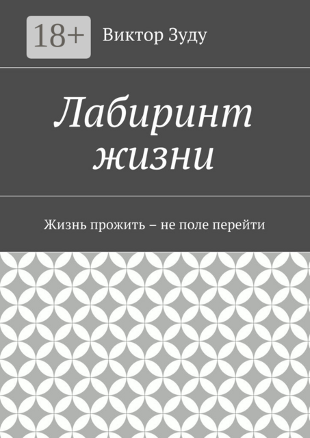 Лабиринт жизни