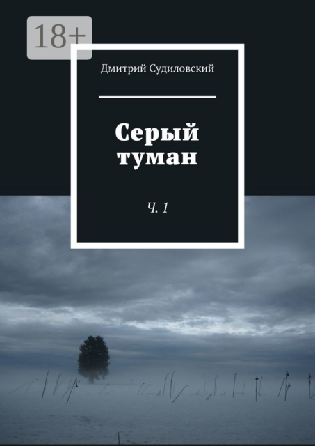 Серый туман. Ч. 1, Дмитрий Судиловский