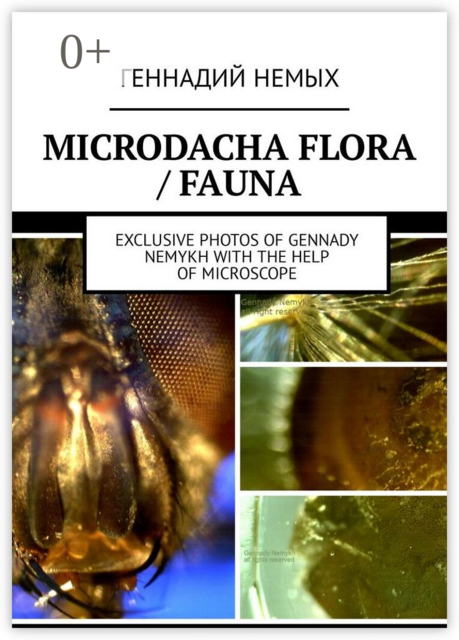 Microdacha flora / fauna. Exclusive photos of Gennady Nemykh with the help of microscope