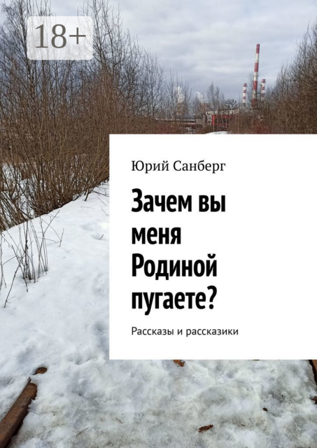 Зачем вы меня Родиной пугаете?, Юрий Санберг
