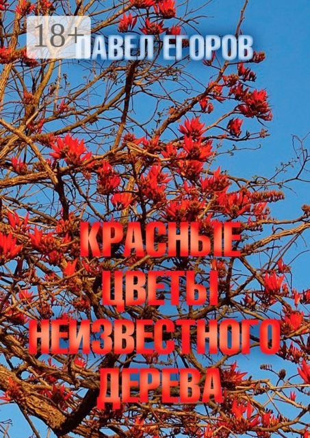Красные цветы неизвестного дерева