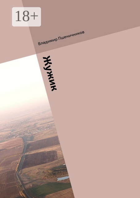 Жужик, Владимир Пшеничников