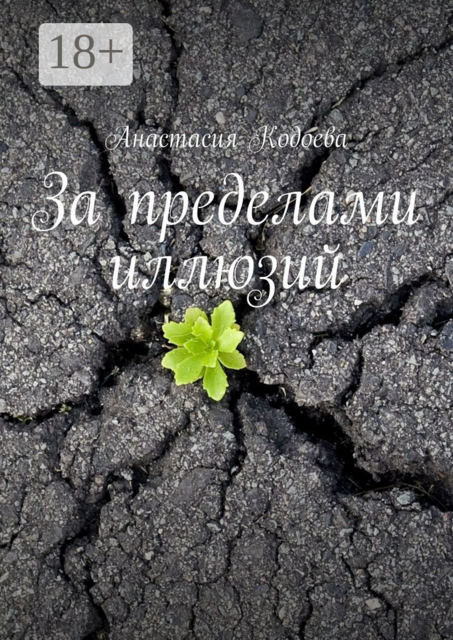 За пределами иллюзий