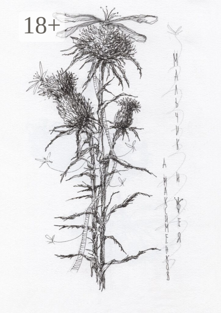 Мальчик и фея