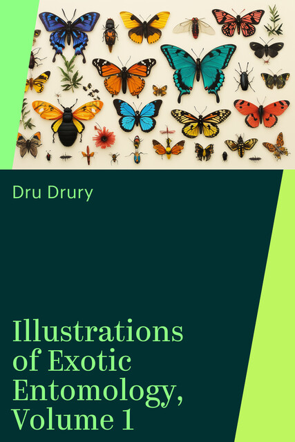 Illustrations of Exotic Entomology, Volume 1