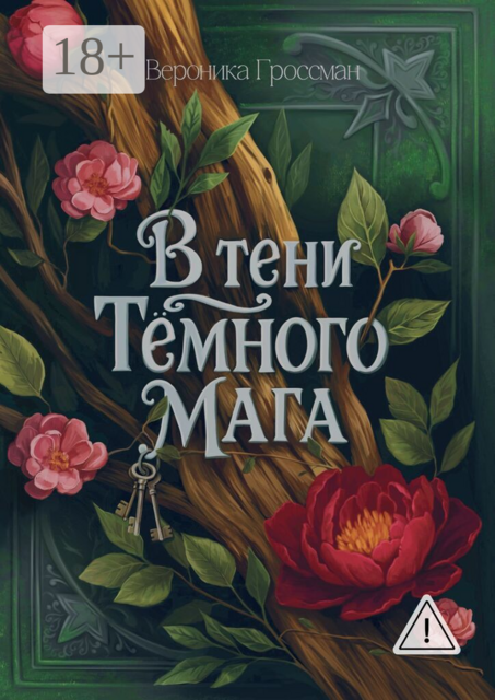 В тени Темного мага