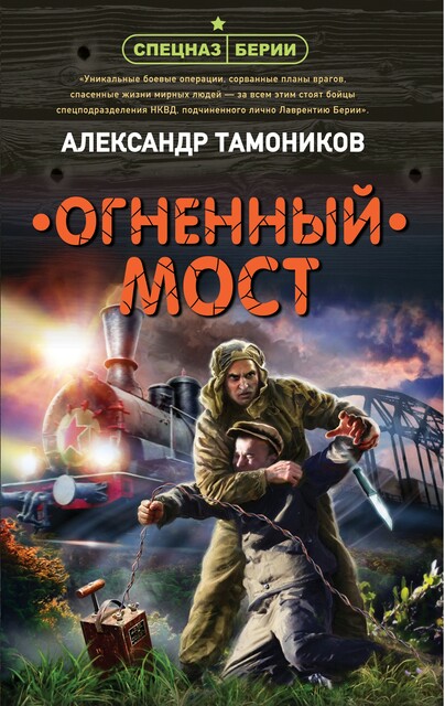 Огненный мост, Александр Тамоников