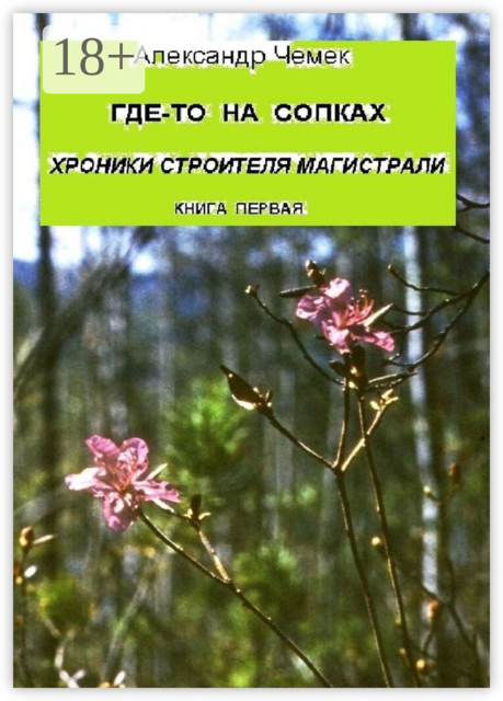Где-то на сопках. Хроники строителя магистрали. Книга первая, Александр Чемек