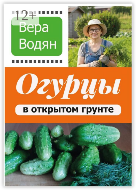 Огурцы в открытом грунте