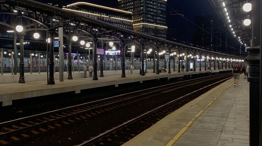 Приключения кота детектива 