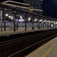 Приключения кота детектива 