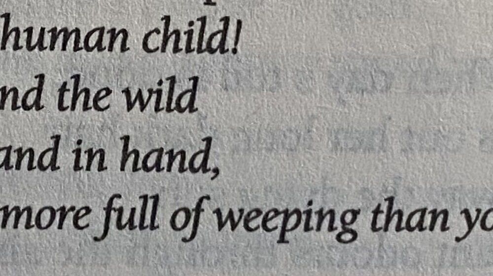 криминалистика и психология