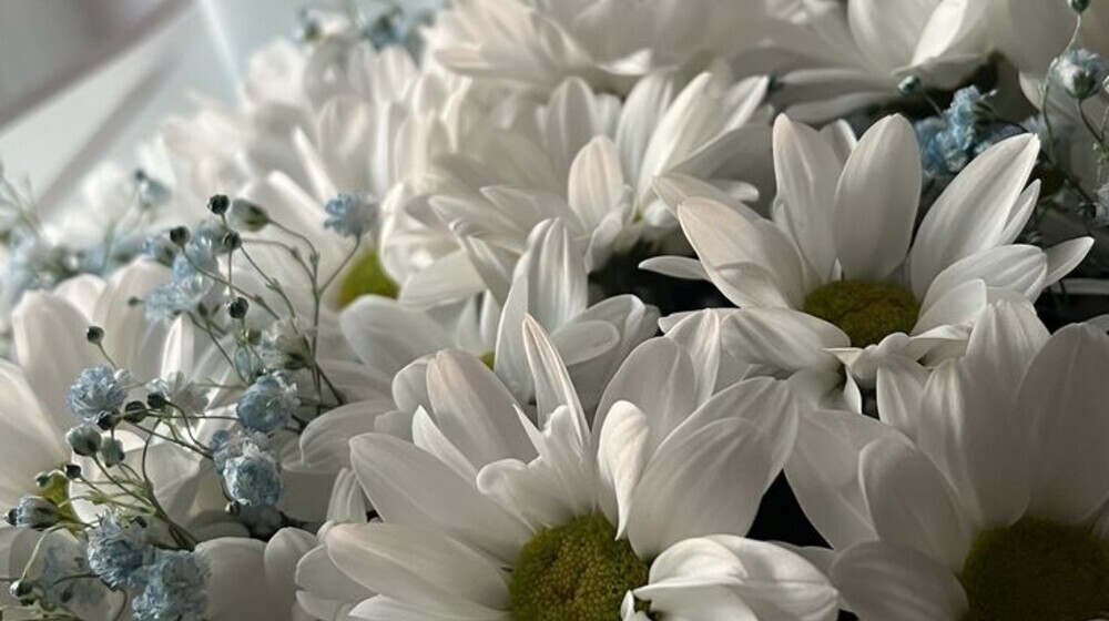 Почитать🫶🏻