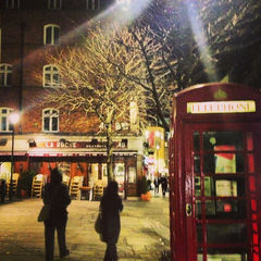 Убийца - садовник!