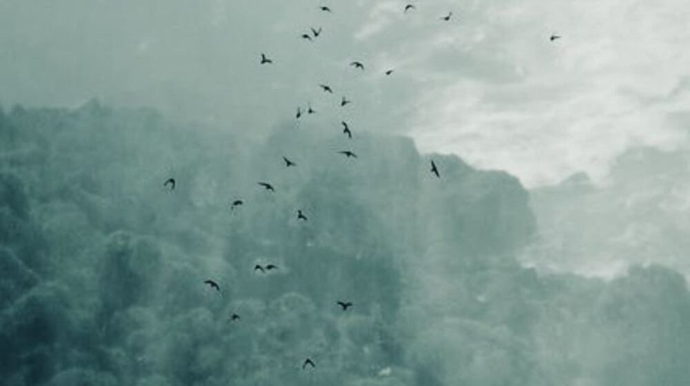 Идеально неидеальные