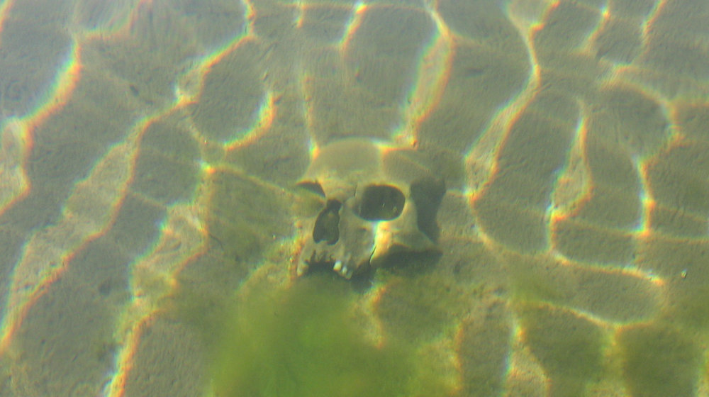 Смурной охотник