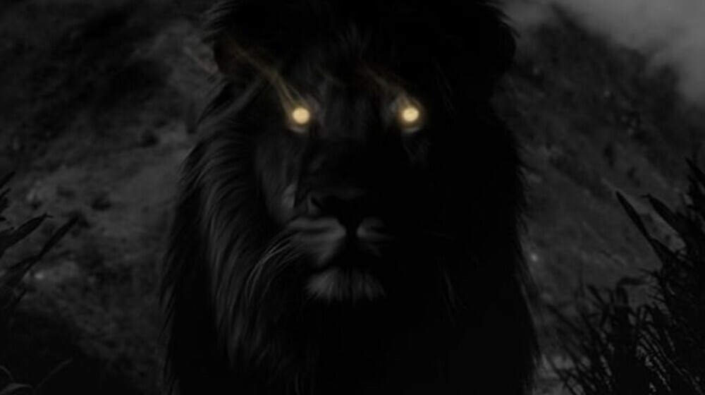 саморазвитие 👿