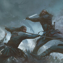 Цикл Викинг