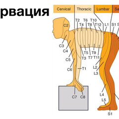 Околомедицинское