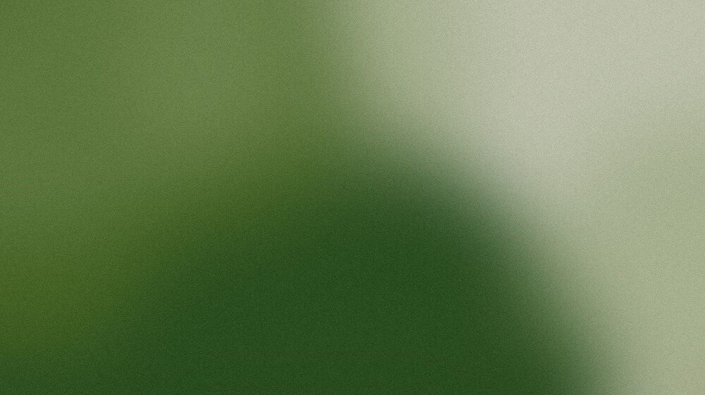 Художественная литература