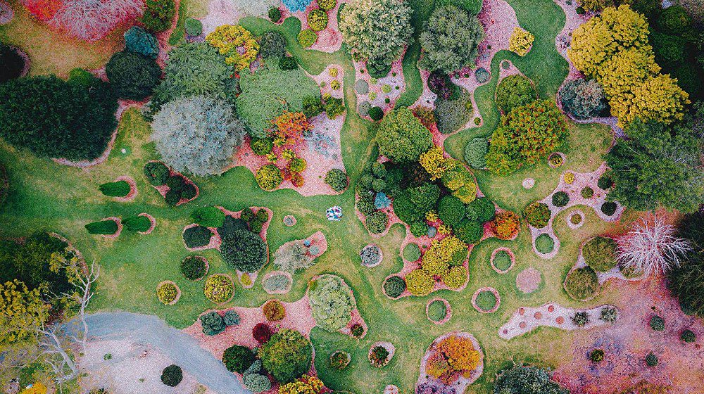 Solarpunk, social ecology & anarchism, deep ecology manuals