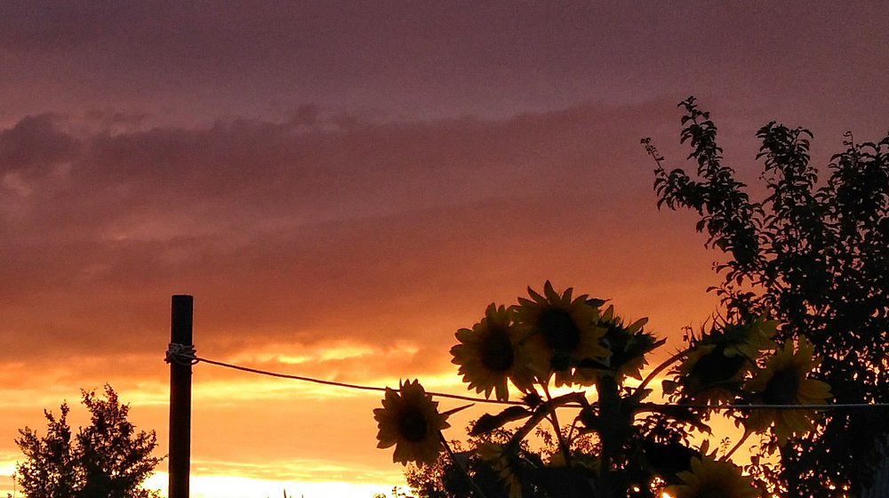 Последний день лета