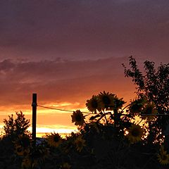 Последний день лета