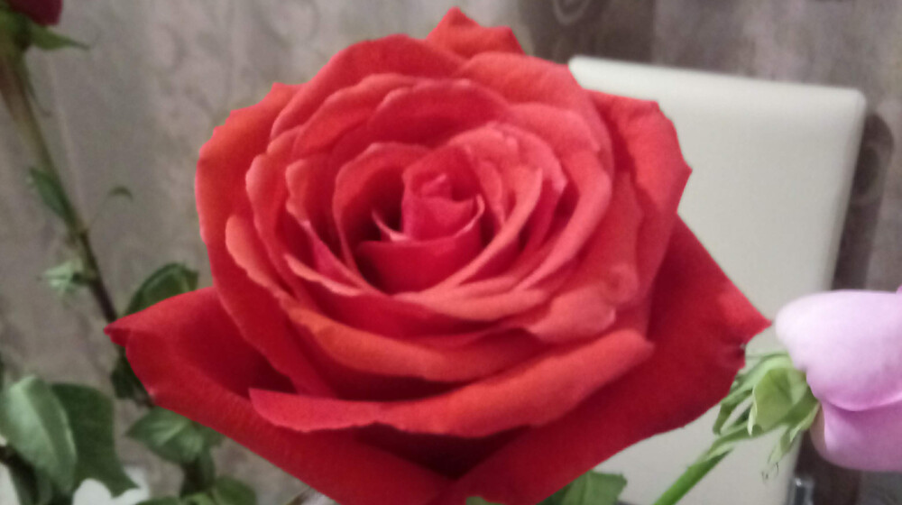 Аудиокниги