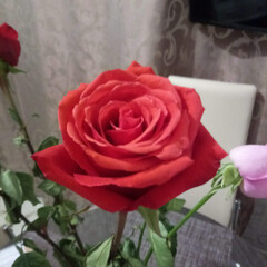 Аудиокниги