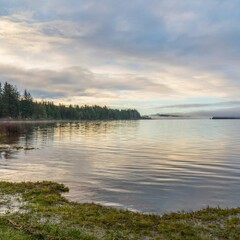Понять Тургенева и «Муму»