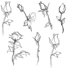 Рисунок/дизайн