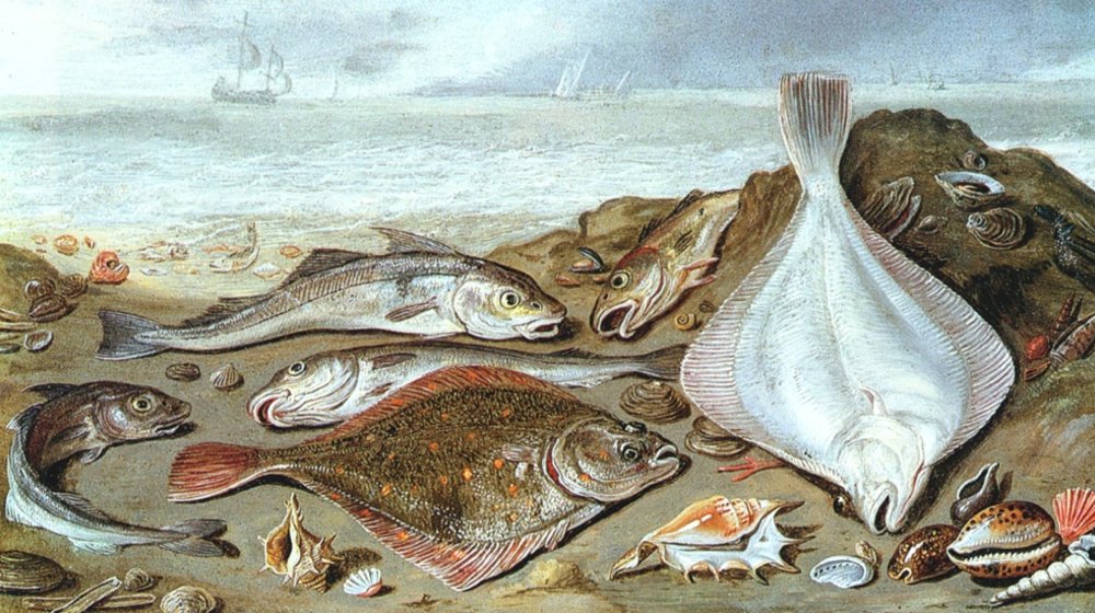 «Рыбные» книги