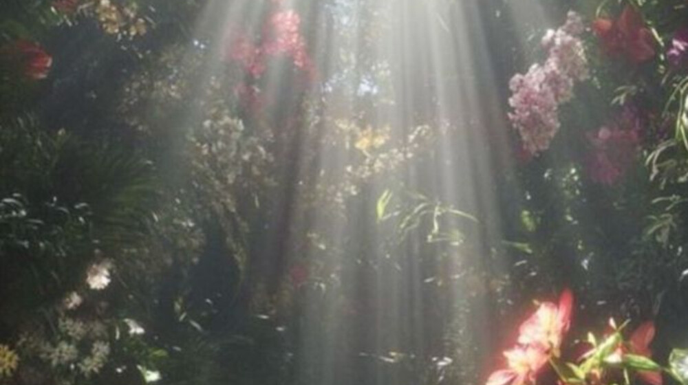 Художественное