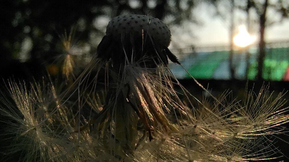 Регрессия, психология, руны, таро, камни