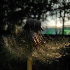 Регрессия, психология, руны, таро, камни