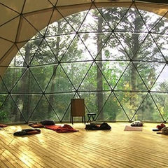 Yoga, Asana, Prāṇāyāma