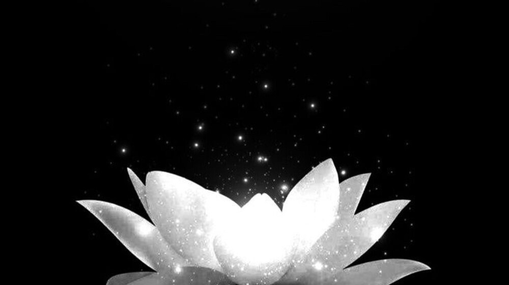 Черный лотос