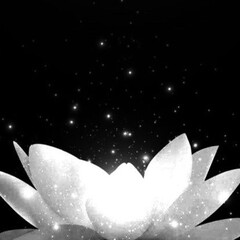 Черный лотос