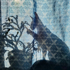 тут я просто буду что-то писать "от нечего делать", потому что мне скучно 🐿