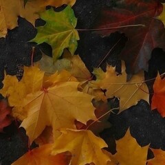 художественная литература