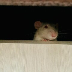 ИНТЕРЕСНО про историю, науку, психологию 