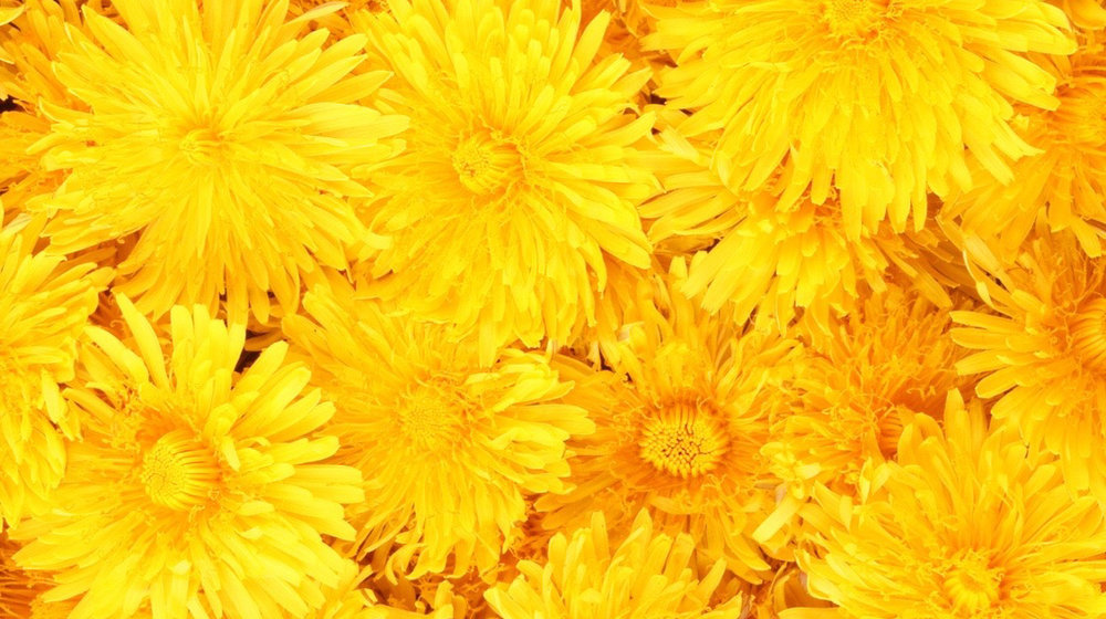 Сашины книги❤️🐛🧘🏻‍♀️📚🍐