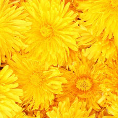 Сашины книги❤️🐛🧘🏻‍♀️📚🍐