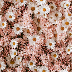 Лучшие романы по версии Би-би-си