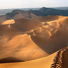 Великие люди об Арабских землях