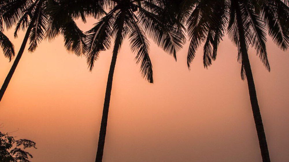 Перечитывать 