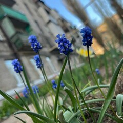 4 сезона весна 