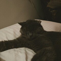 Читаю в феврале